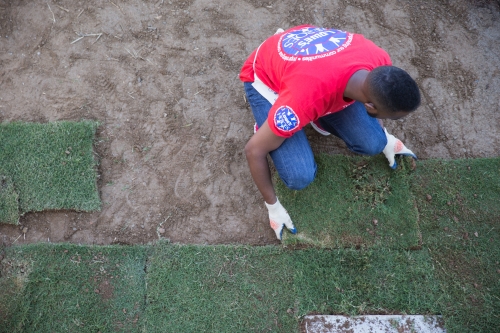 Section photo for Homeownership